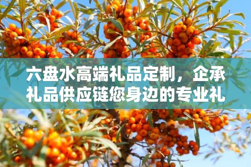 六盘水高端礼品定制，企承礼品供应链您身边的专业礼品定制公司