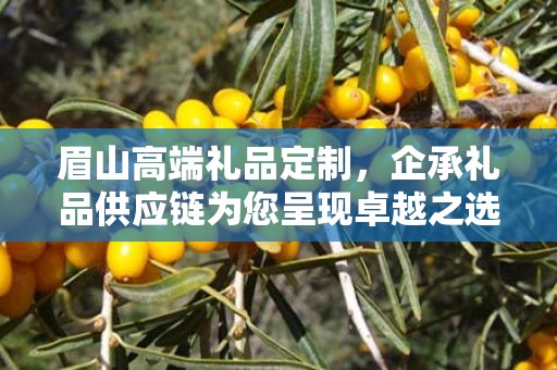 眉山高端礼品定制，企承礼品供应链为您呈现卓越之选