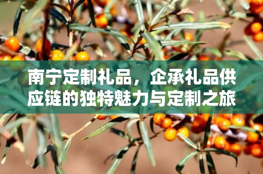 南宁定制礼品，企承礼品供应链的独特魅力与定制之旅