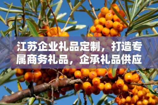江苏企业礼品定制，打造专属商务礼品，企承礼品供应链助力企业发展