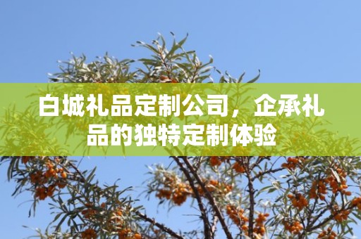 白城礼品定制公司，企承礼品的独特定制体验
