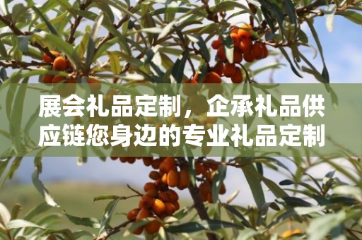 展会礼品定制，企承礼品供应链您身边的专业礼品定制公司